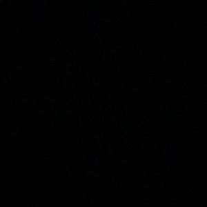 Meet your Posher, Lilly